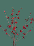 Red Berry Bush