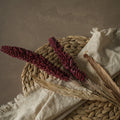 31" Burgundy Sorghum Spray – Faux Fall Floral
