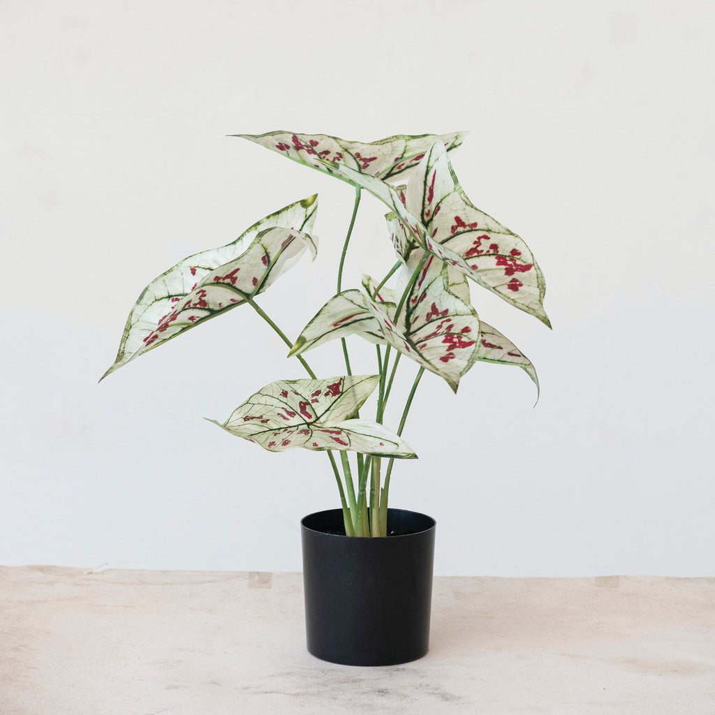 Faux Caladium Elephant Ear Plant in Pot