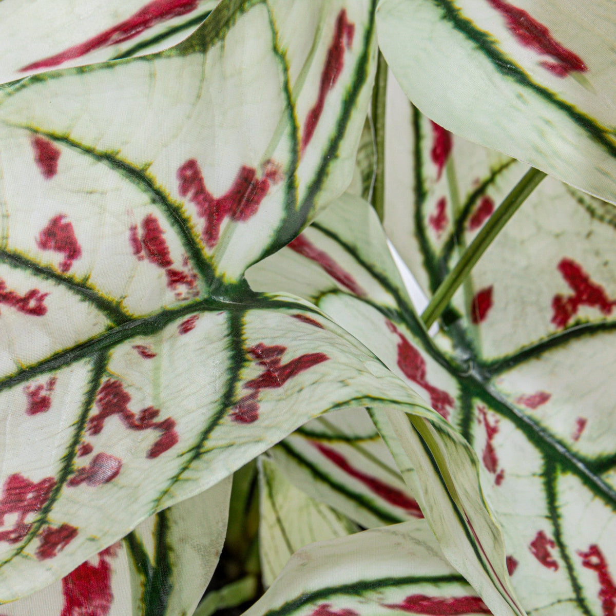 Faux Caladium Elephant Ear Plant in Pot