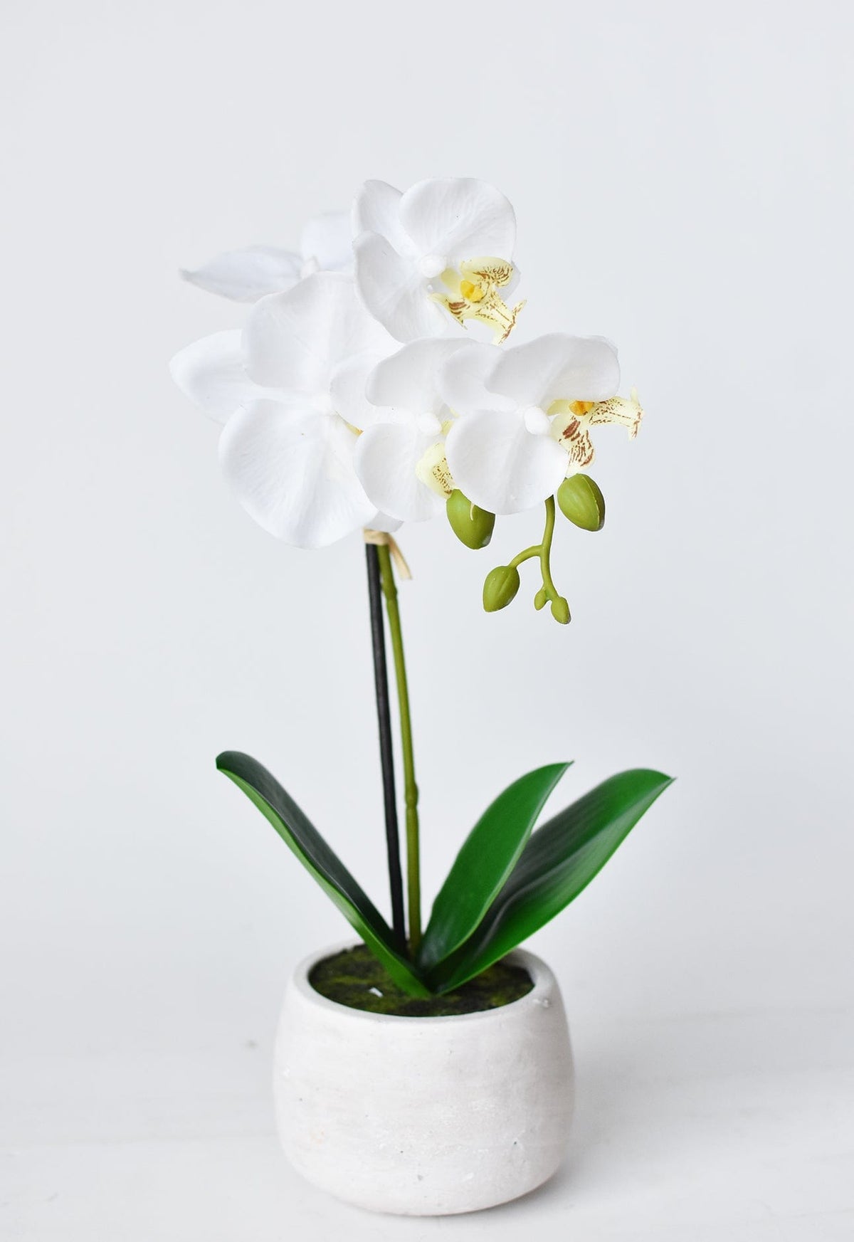 14" Faux Potted Orchid White