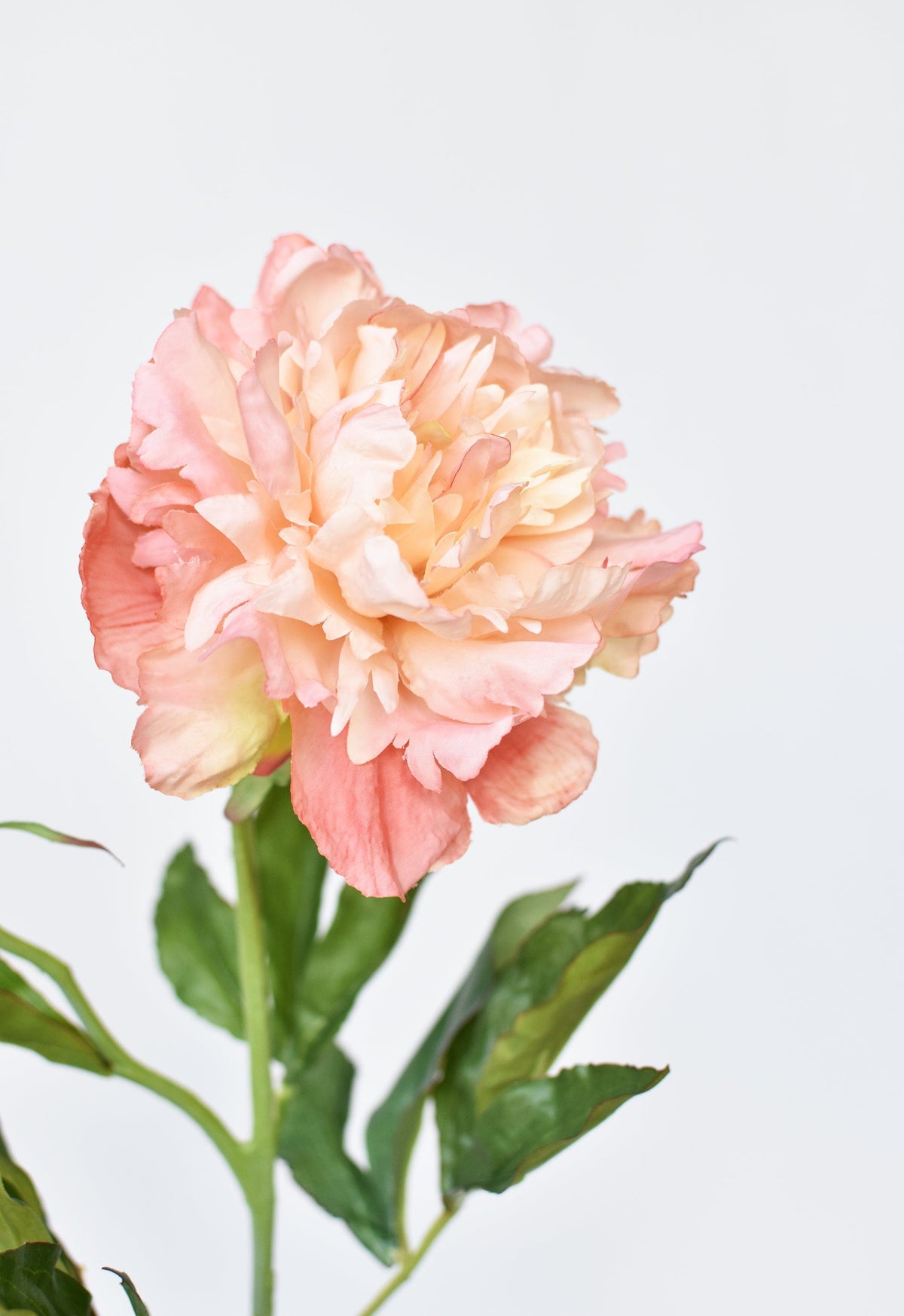 28" Faux Peach Peony Stem