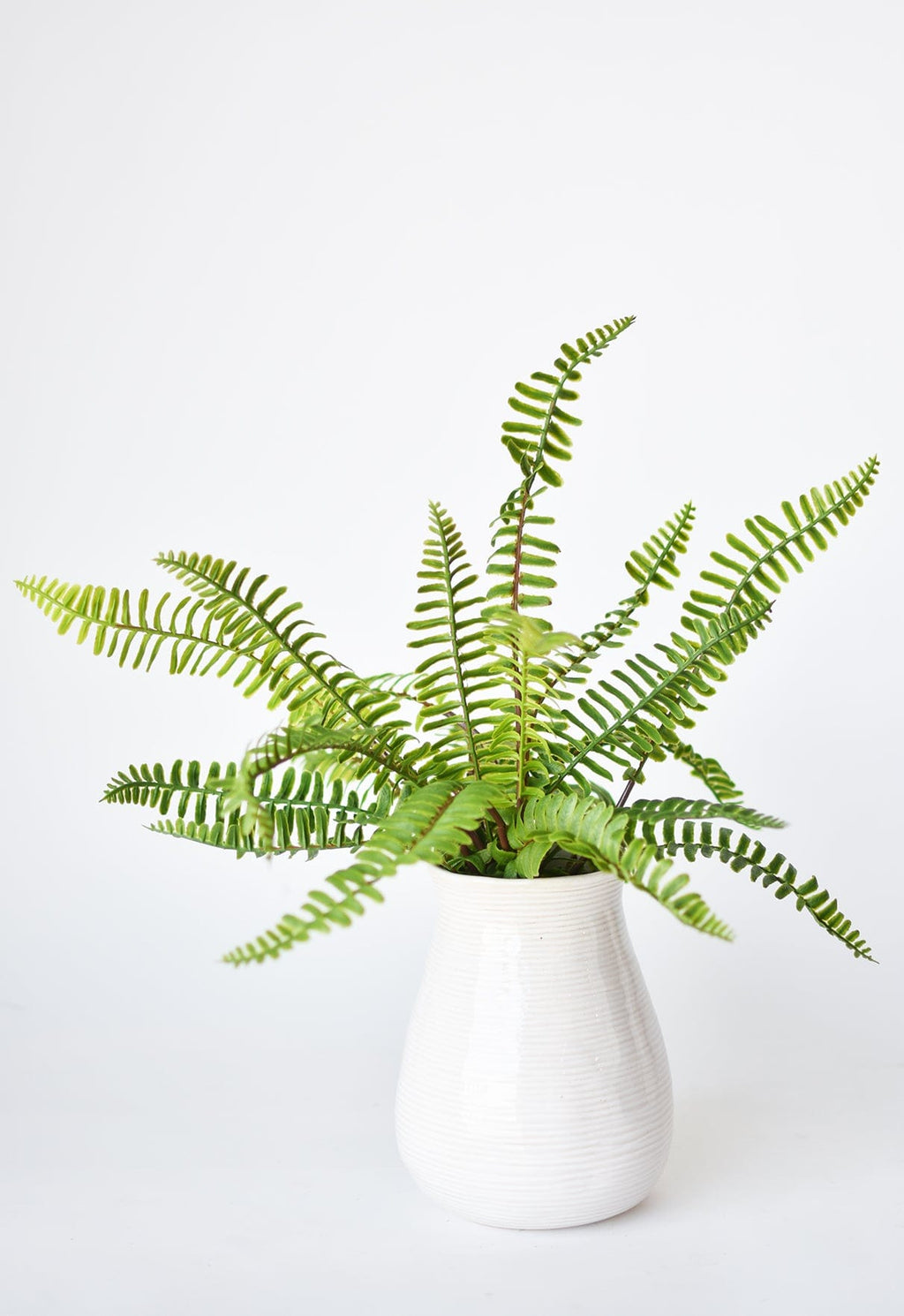 17" Faux Green Boston Fern Bush