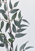 36" Faux Dark Green/Gray Ruscus Leaf Stem