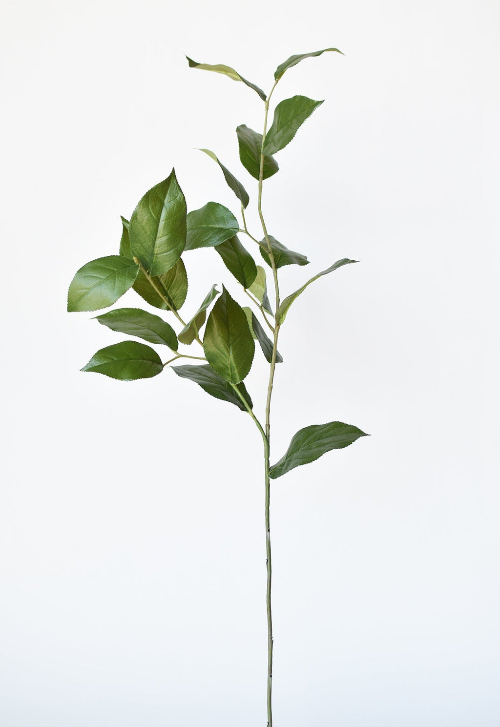 36" Faux Lemon Leaf Branch Stem