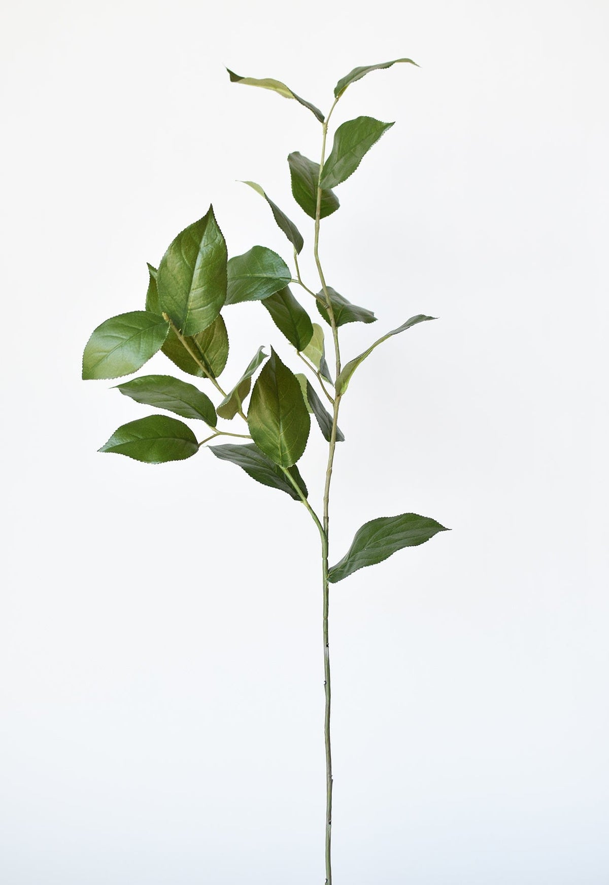 36" Faux Lemon Leaf Branch Stem