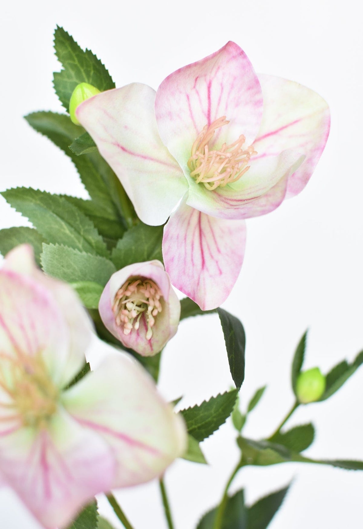 25" Faux Helleborus Stem Pink / Green