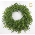 30" Norfolk Pine Wreath UV