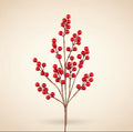 18"L Shiny Red Waterproof Berry Spray