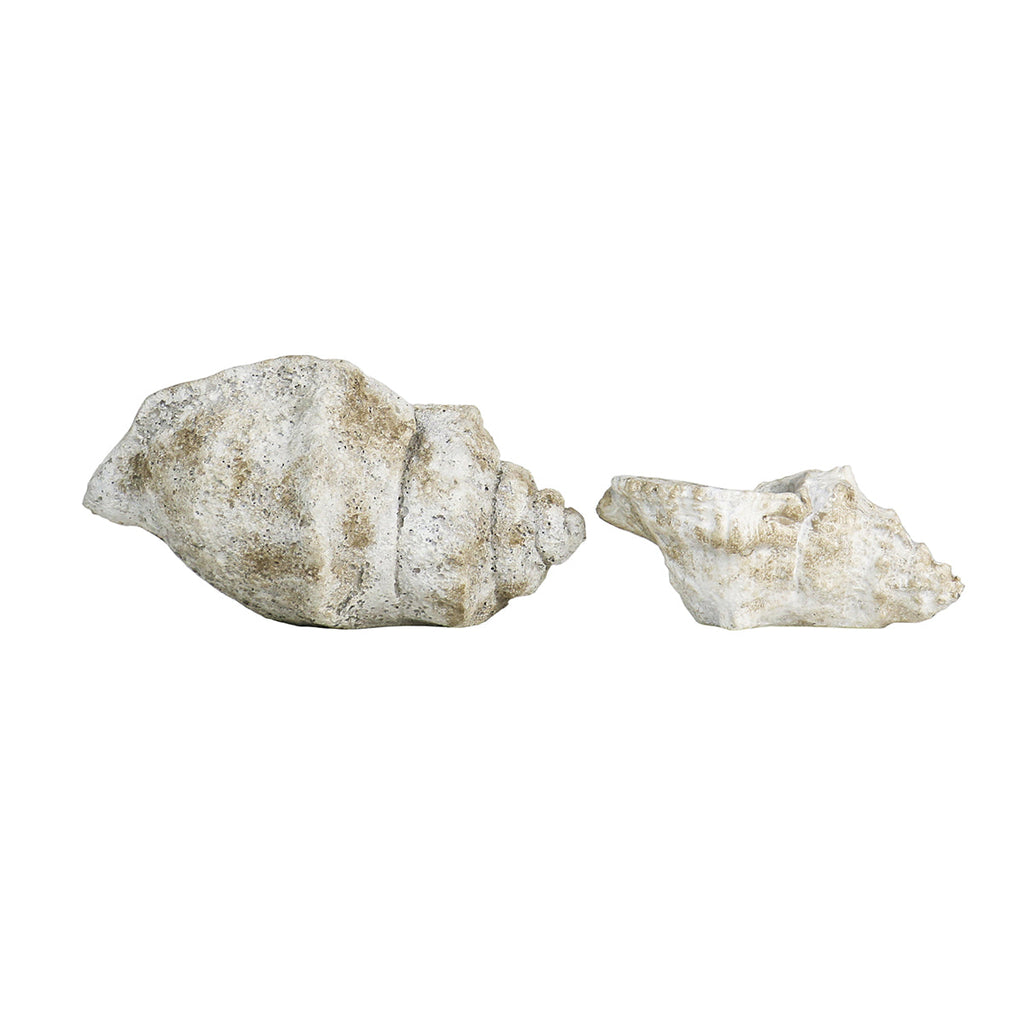 Cast Concrete Conch Shell Planter | 2 Sizes