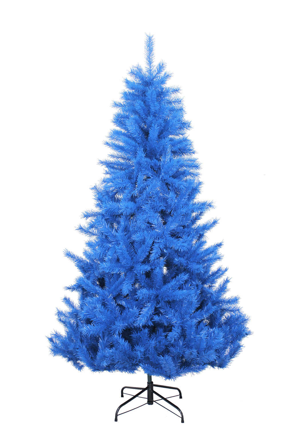 6' Blue Norway Pine Tree