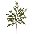 36" Norfolk Pine Branch