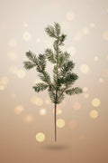 23.5"L Balsam Pine Spray