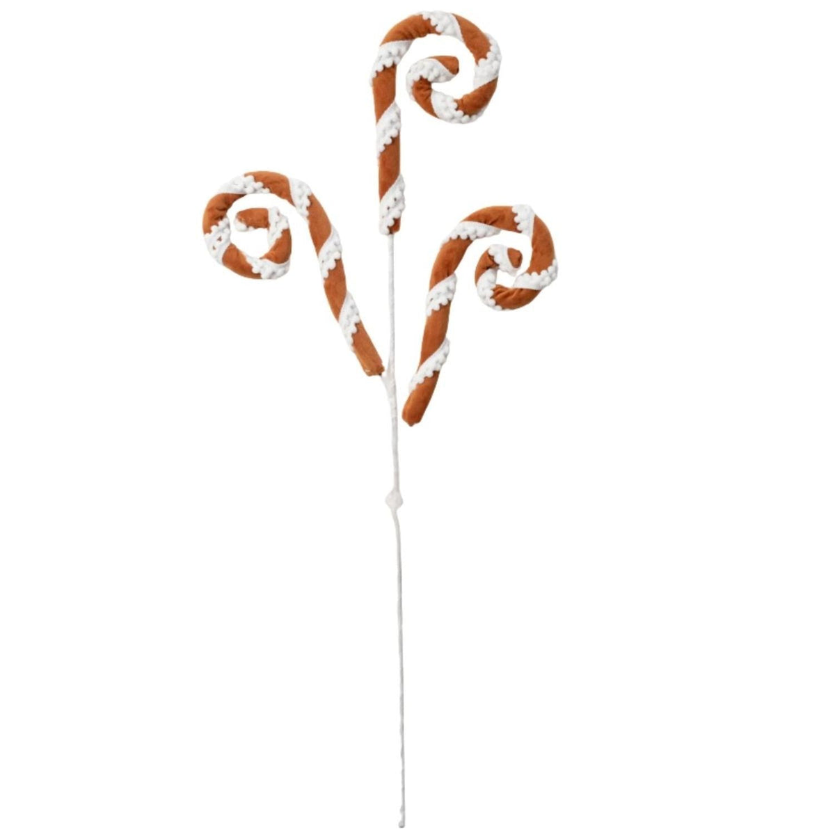 The Gingerbread Door bundle: 28" gingerbread stripe curly spray