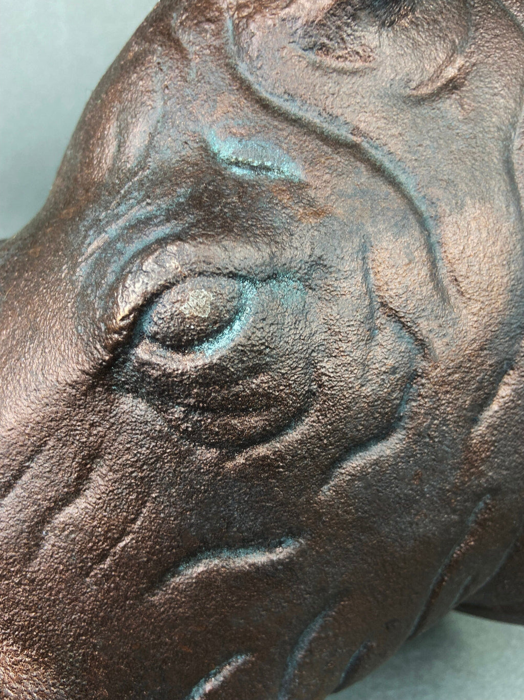 Distressed Bronze-Look Rhino Head Wall Hanging