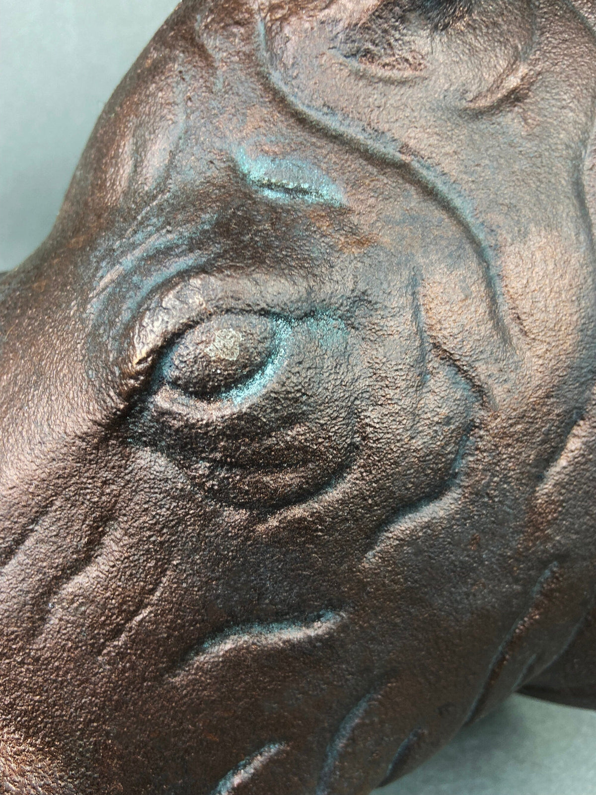 Distressed Bronze-Look Rhino Head Wall Hanging