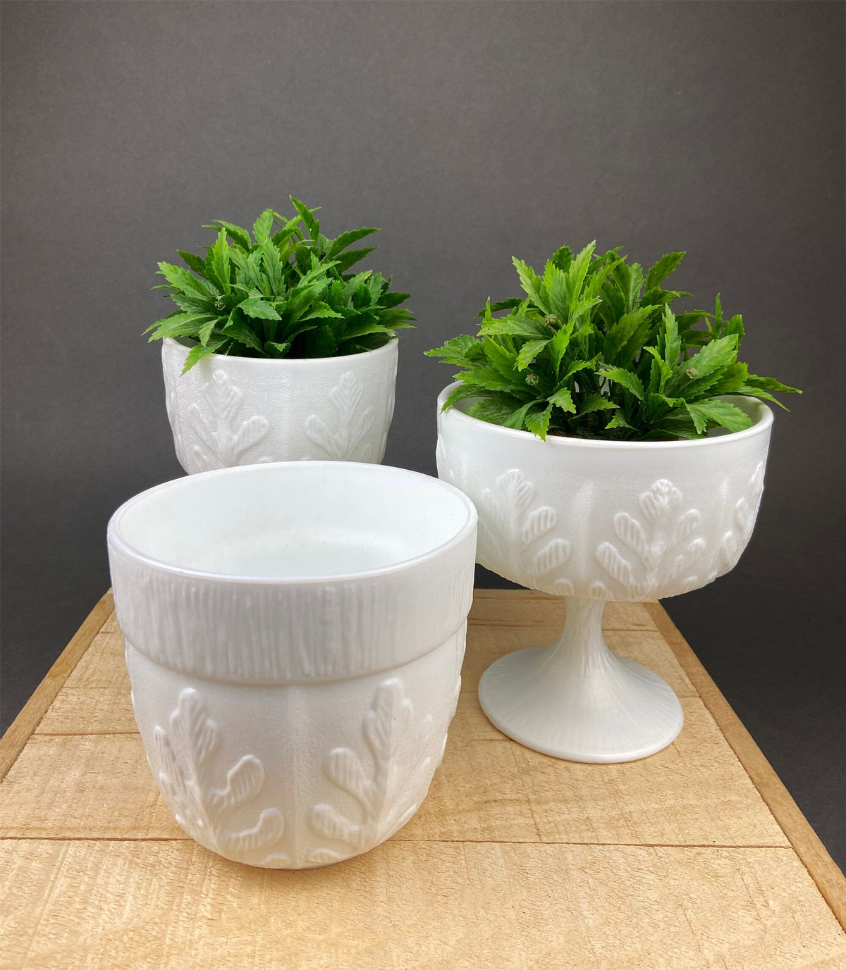 F.T.D. 1975 Milk Glass Oak Leaf Planters, Set of 3
