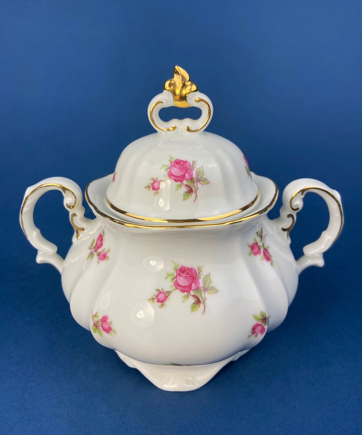 Hertel Jacob Bavarian Tea & Coffee Set