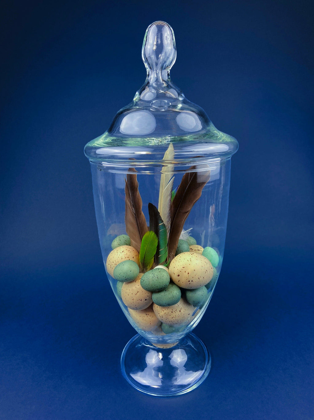 Footed Glass Apothecary Jar with Eggs & Feathers