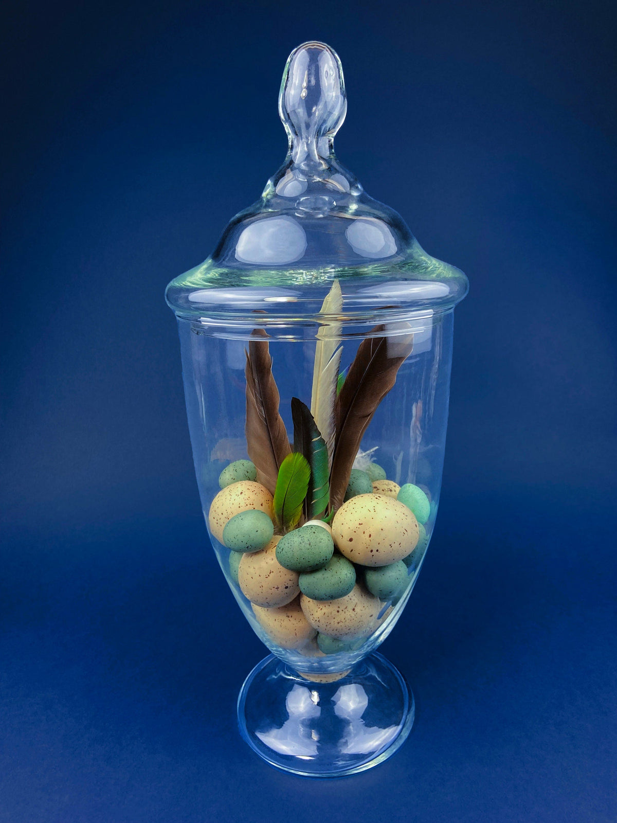 Footed Glass Apothecary Jar with Eggs & Feathers
