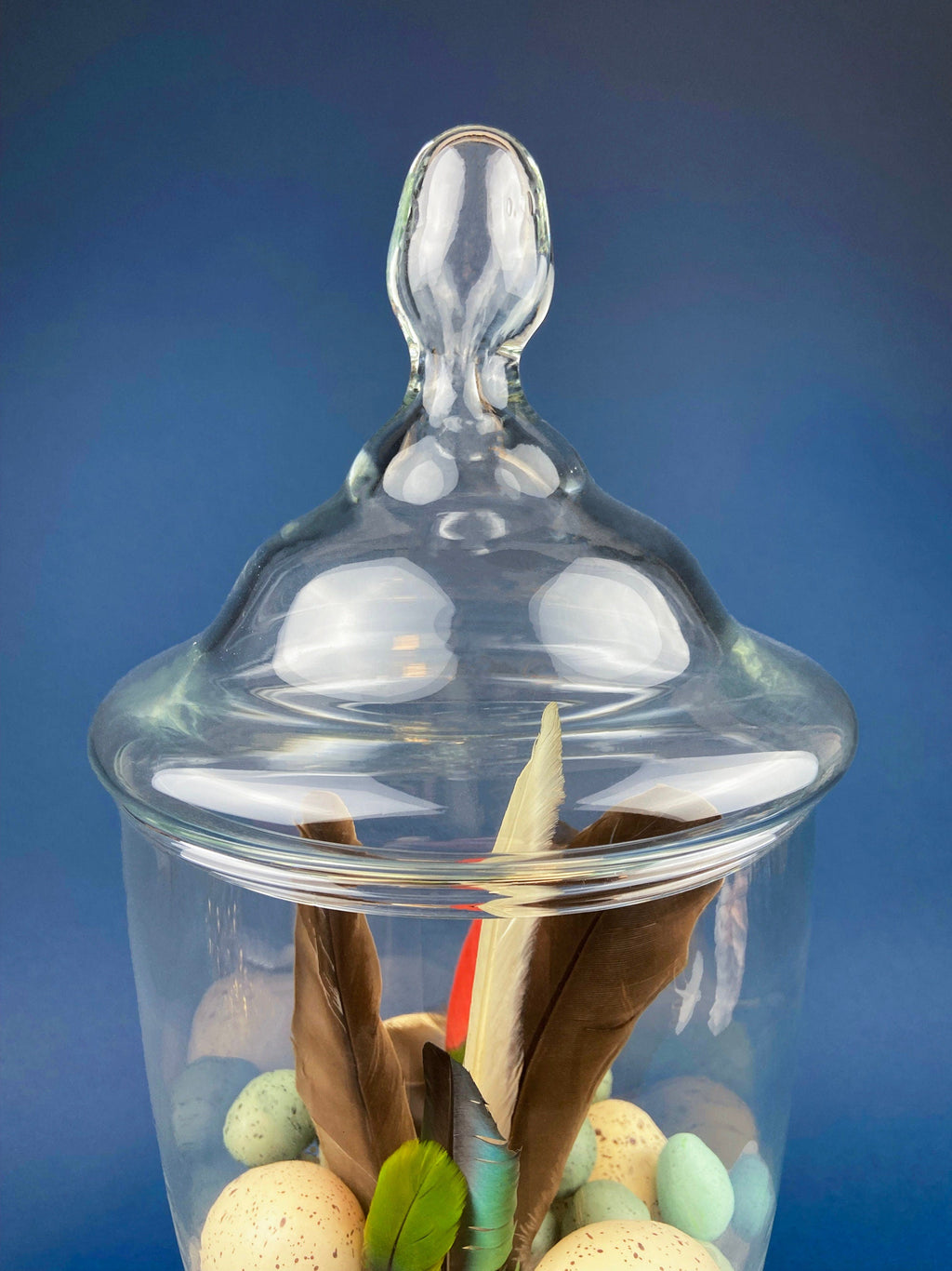 Footed Glass Apothecary Jar with Eggs & Feathers