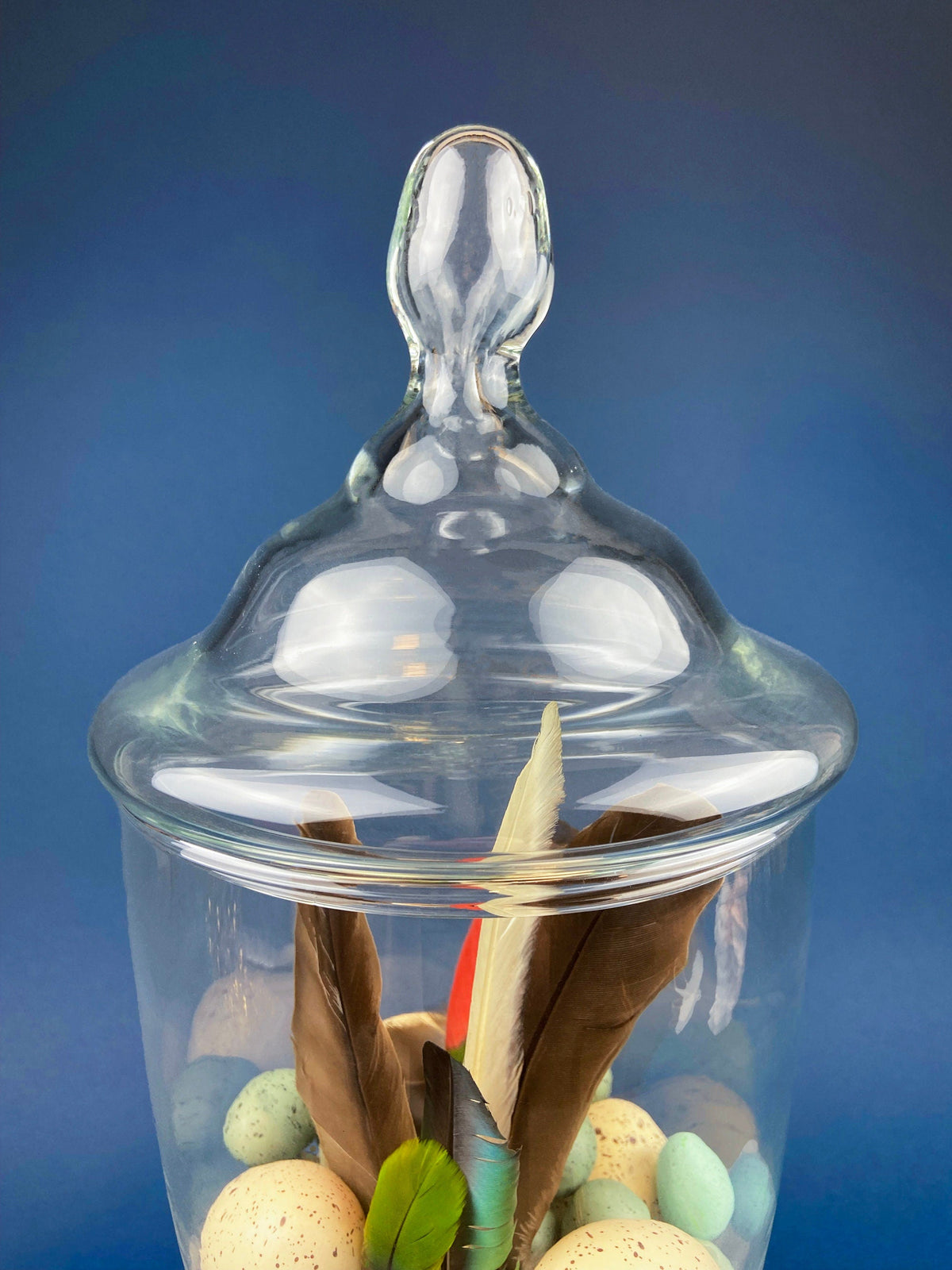 Footed Glass Apothecary Jar with Eggs & Feathers