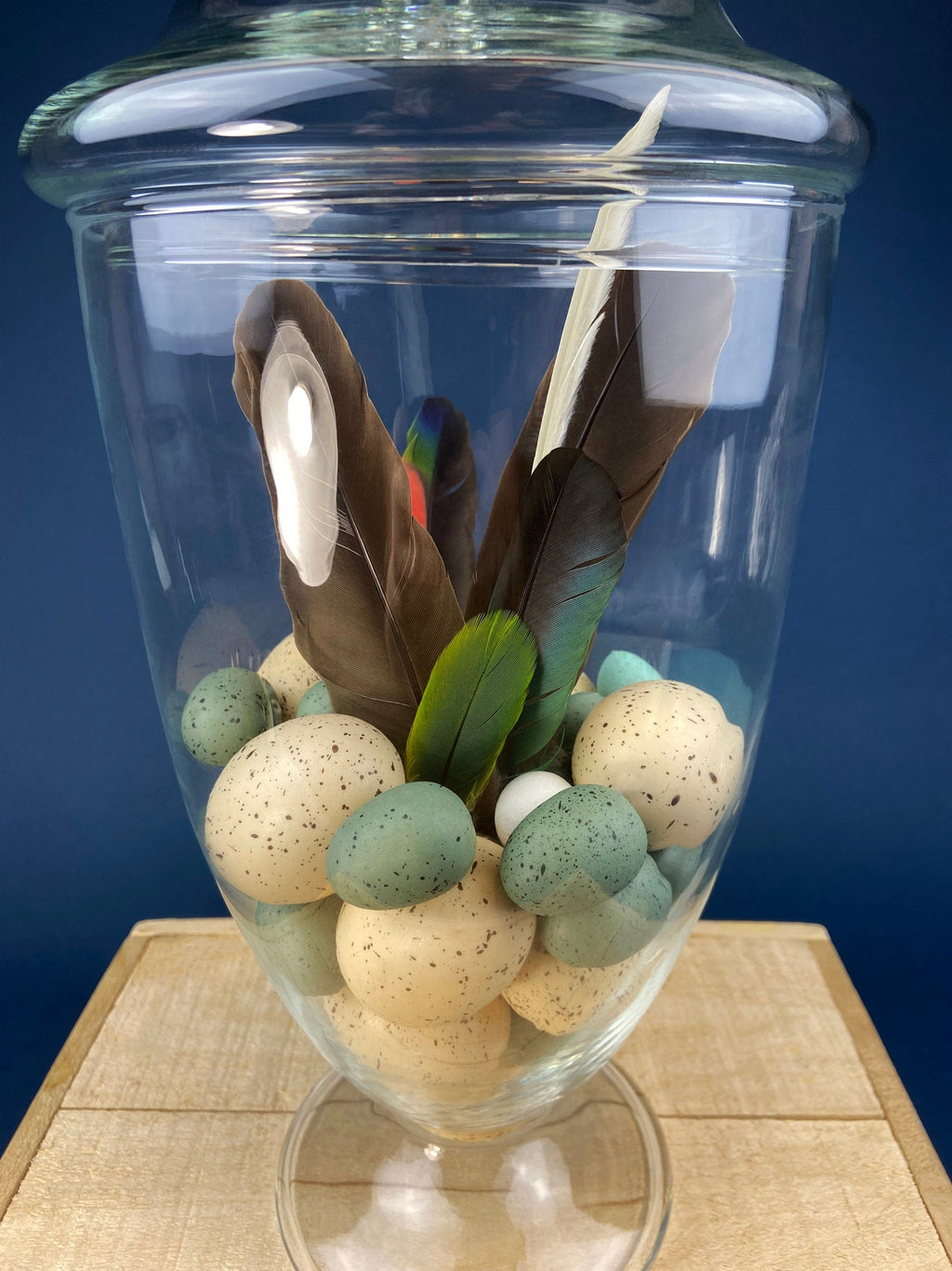 Footed Glass Apothecary Jar with Eggs & Feathers