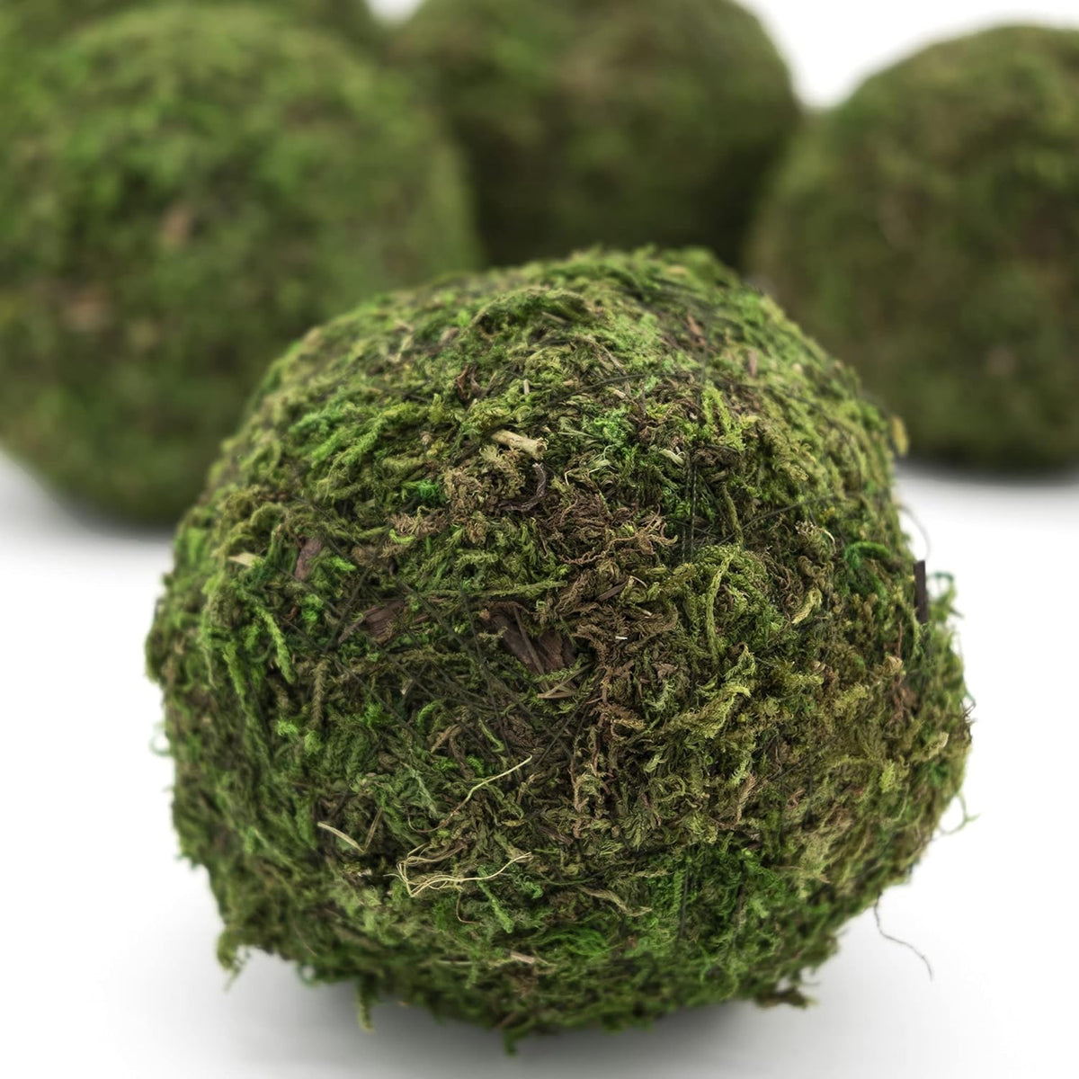 4" Moss Balls (set of 6)