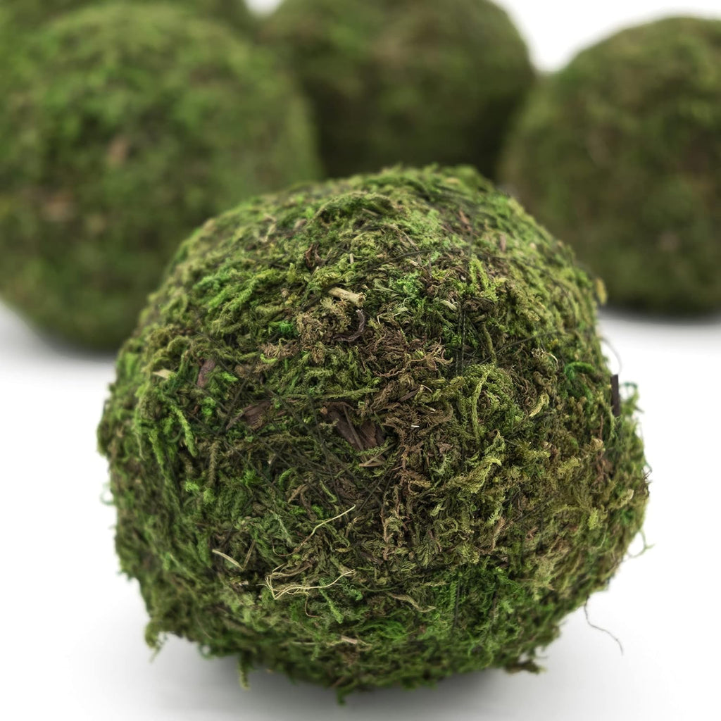 3" Moss Balls (set of 6)