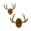 Oakdale Antler Wall Mount- 2 Size Options