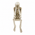 See, Hear & Speak No Evil Skeleton Shelf Sitter – 3 Styles